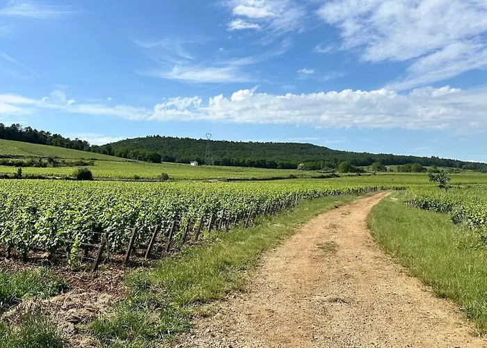 Aux Champs Perdrix